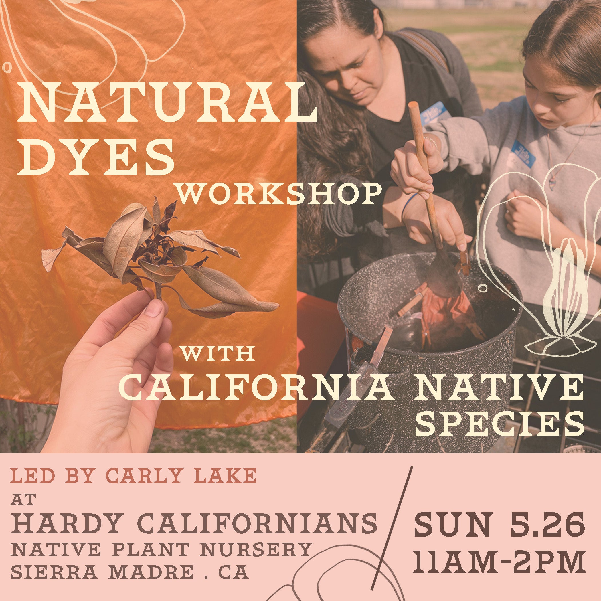 Natural dye workshop with california native species hardy californians